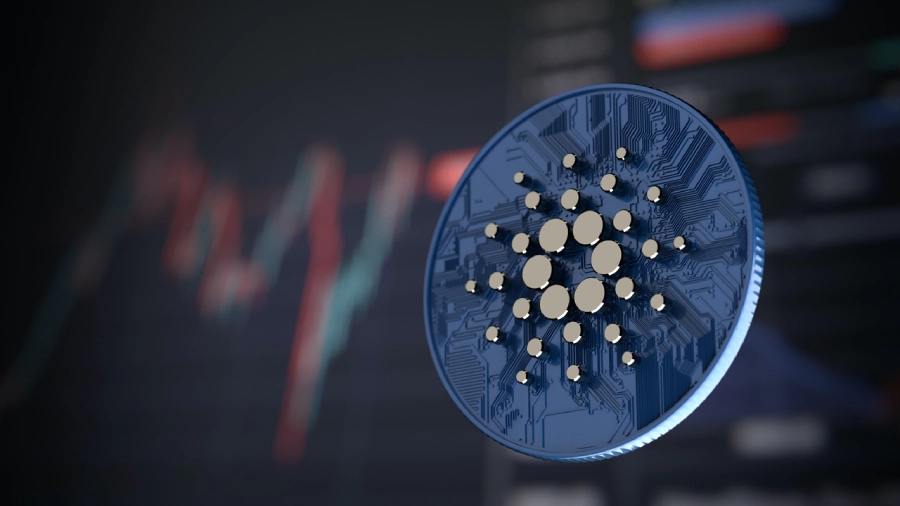 Cardano-7-ezg