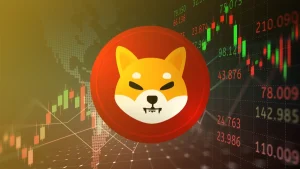 shiba forcast
