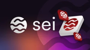 شبکه Sei